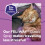 Feliway FELIWAY Classic Cat Calming Odourless Spray, 60ml - Comforts Cats at H 5