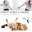 Cobee Cat Wand Toys - Interactive Feather Propeller Wand with 2 Refill 4