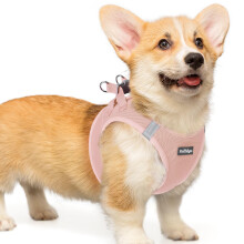 rabbitgoo Dog Harness Small Dog, Step-in Soft Mesh Puppy Harness with