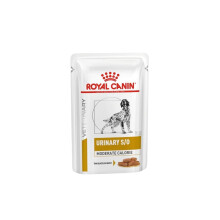 ROYAL CANIN Urinary S/O Moderate Calorie Wet Dog - 12 x 100g