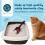 Petsentials Super Clumping Cat Litter with Activated Carbon | 20L | Ul 3