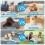 Keratobleem 4 Pack Dog Clicker, Pet Training Clicker with Wrist Strap, 5