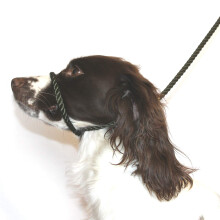 Dog & Field Figure 8 Anti-Pull Lead/Halter/Head Collar/Harness (Olive