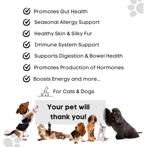 Beef Bone Broth Probiotic & Prebiotic | For Dogs & Cats with Sensitive 2