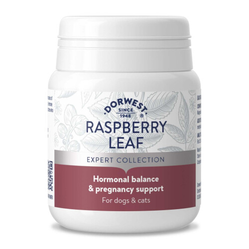 Dorwest Raspberry Leaf Tablets for Dogs And Cats, 100 Tablets, Pregnan