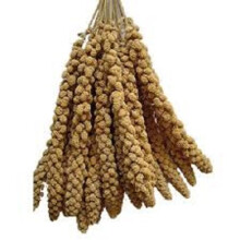 LEEWAY WOODWORK MILLET SPRAYS PACK OF 6 SPRAYS - BUDGIES - FINCHES - C