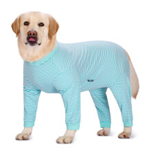Axcimond Dog Recovery Suit - Long Sleeve Onesie with Zipper for Post-S