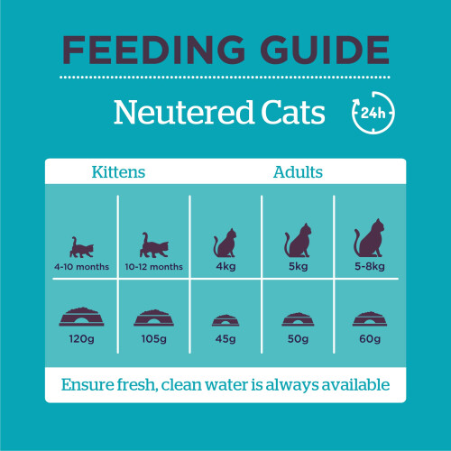 Burgess Burgess Cat, Neutered with Chicken, 3 Kg 2