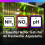 NT Labs Aquarium Lab Mini-Test Kit (3 Key Parameters - pH, Nitrite and 6