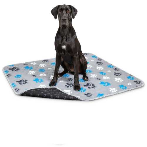 Magnus Creations | 5 Layer Washable Puppy Training Dog Pads | 2 pack |