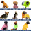 Spark Paws Dog Raincoat, Waterproof Windproof Rain Jacket, For Small M 3