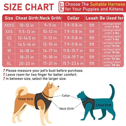 Small Pet Harness Collar and Leash Set, Step in No Chock No Pull Soft 1