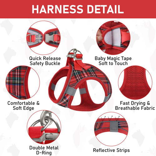 Small Pet Harness Collar and Leash Set, Step in No Chock No Pull Soft 2