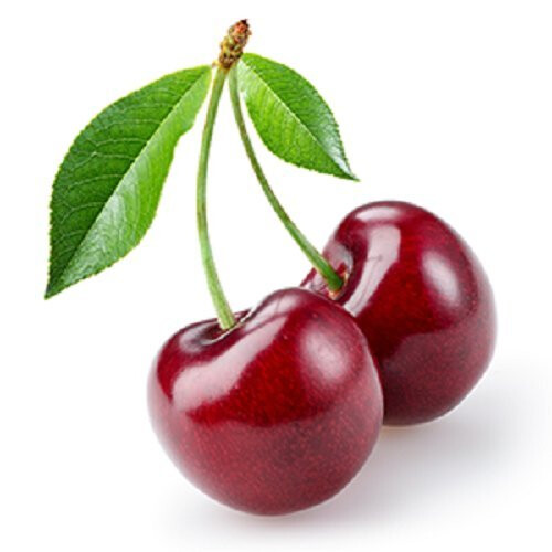 Vet's Best Bitter Cherry Anti-Chew Deterrent Spray 221ml 1