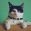 Yorgewd 6 Pack Leather Cat Collars with Removable Bell Polished Durabl 4