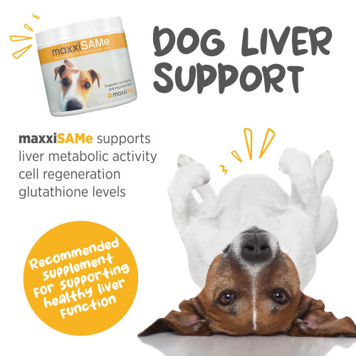 maxxipaws maxxiSAMe Advanced SAM-e Powder Supplement - Liver, Cognitiv 1