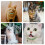 Yorgewd 6 Pack Leather Cat Collars with Removable Bell Polished Durabl 6