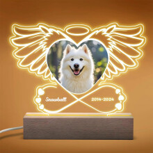 Personalised Pet Memorial LED Night Light, Photo Display with Angel Wi