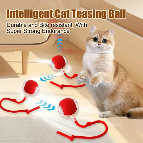 Interactive Dog Rolling Ball - Rechargeable Electric Automatic Rolling 1