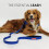 EzyDog Essential Lead | Training Lead for Small, Medium, Large Dogs - 2