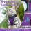 rabbitgoo Cat Harness and Leash Set for Walking Escape Proof, Adjustab 6