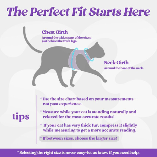 rabbitgoo Cat Harness and Leash Set for Walking Escape Proof, Adjustab 1