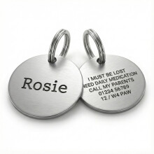 Personalised Dog ID Tag – Custom Engraved Silver Stainless Steel Pet N
