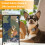 Pawfit Lite for Dogs 4g GPS Tracker | Real Time Tracking | Activity Mo 3