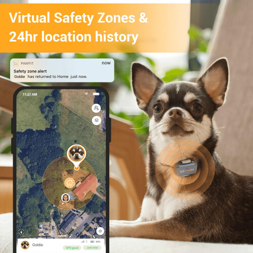 Pawfit Lite for Dogs 4g GPS Tracker | Real Time Tracking | Activity Mo 2
