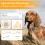 Pawfit Lite for Dogs 4g GPS Tracker | Real Time Tracking | Activity Mo 5