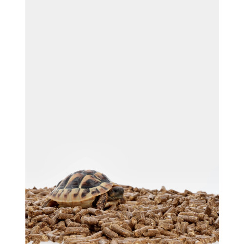 Reptalis Tortoise Straw Substrate | Natural Bedding Pellets | Hermanns 1