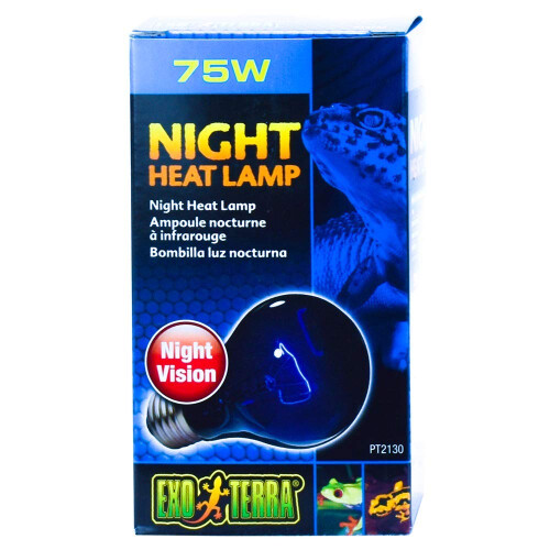 Exo Terra Night Heat Lamp 75w 2