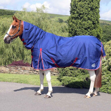 Ventomasta 200g Mediumweight Combo Turnout Rug - Durable 600 Denier Ri