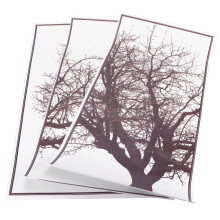 Sticker mural arbre gris nordique 60 30 cm, PVC 135 g