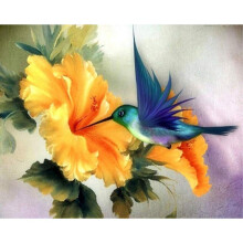 Painting by Numbers 40x50cm Color Canvas Adults Beginners Honey Bluebird Easy DIY Oil Acrylic Kit Without Frame