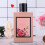 Φιλικό προς το δέρμα, αναπνεύσιμο Eau de Parfum Delicate Mist Spray, σέξι και χαριτωμένο 5