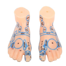 Modèle pratique d'acupuncture du pied, matériaux écologiques, outils pédagogiques pour l'apprentissage des points d'acupuncture du pied humain,