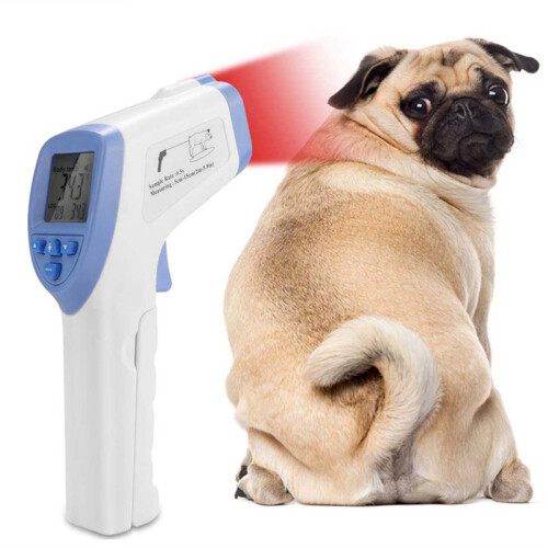 Högprecisionsveterinär Infraröd Termometer Gris Får Häst Hund Djurtermometer 2