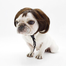 Pet Festival Wig Hair Costumes for Dogs Cosplay Headwear Multiple Sizes