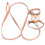 AntiLost Cat Harness with Leash, Adjustable, Escape-Proof, Orange 4