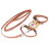 AntiLost Cat Harness with Leash, Adjustable, Escape-Proof, Orange 13