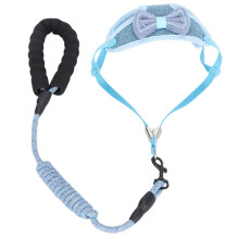 AntiLost Blue Cat Vest Harness with Leash, 28cm Chest, 1.15m Strap