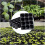 Seed Trays 10Pack 12Cell Germination Seed Starter Tray For Nursery Gardens 3