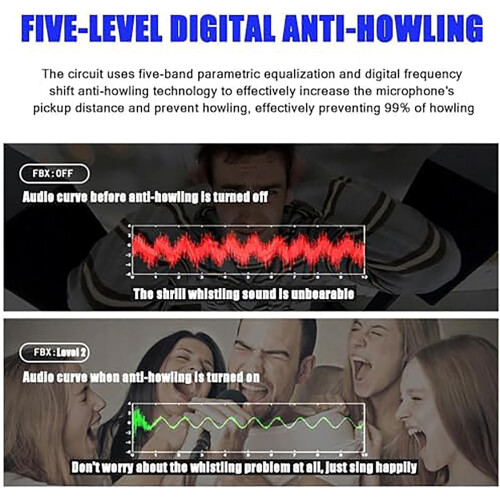 Professional Feedback Suppressor Eliminator Level 5 Digital AntiSquealing 12Segment  Fidelity For Live Performances 1