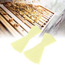 Bandelettes efficaces de fluvalinate : 20 pièces pour la lutte contre les acariens Varroa en apiculture