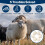 6Pcs Wool Dryer Balls- Premium Natural - Made with 3