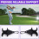 Golf Ball Holder with Clip Tee for Bag Golfers 9