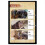 503CW Camera 3D Metal Puzzle Color Simulation Hand 5