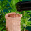 Terracotta Watering Spikes 12 Pack Plant Devices W 10