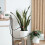 WiFi Tuya Smart Watering Machine Automatic Micro-D 7